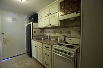 | Driftwood at the Boardwalk