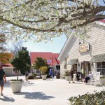 10 Hotels Near Barefoot Landing