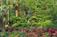 Brighten Your Green Thumb with Horticulture Talks at Brookgreen Gardens