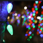 The Market Common Tree Lighting Ceremony