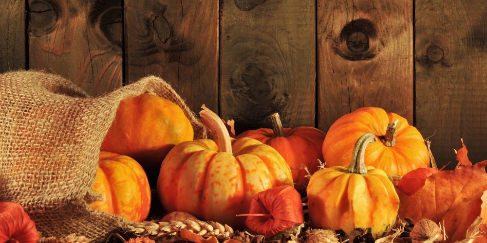 5 Great Reasons To Visit Myrtle Beach In October
