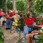 Saturday at the Vineyard