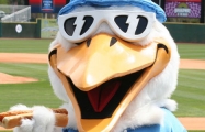 Myrtle Beach Pelicans Offer Family Fun