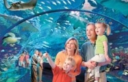 Ripley’s Aquarium
