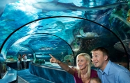 Best Myrtle Beach Bets for Little Kids