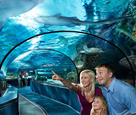 Where To See Live Animals In Myrtle Beach