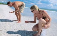 Sea Shell Collectors: Some Great Myrtle Beach Christmas Gifts