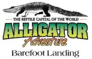 Alligator Adventure