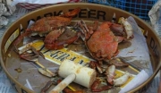 Little River Blue Crab Festival a Big Attraction on the North Grand Strand