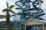 Myrtle Waves
