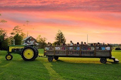 Have some fun at Thompson Farm this fall!