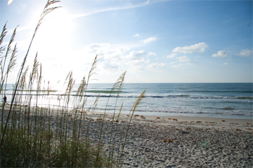 | Litchfield Beach & Golf Resort