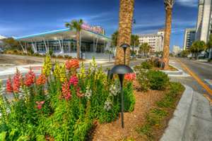 10 Reasons to Visit Myrtle Beach in April