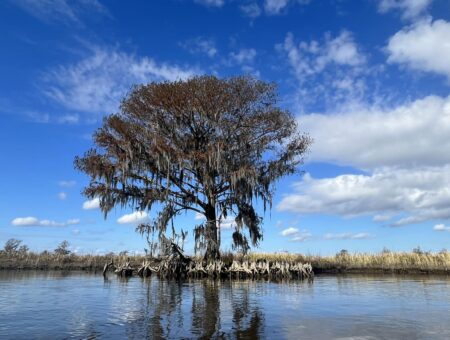 Tour the Waccamaw River