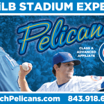 Myrtle Beach Pelicans