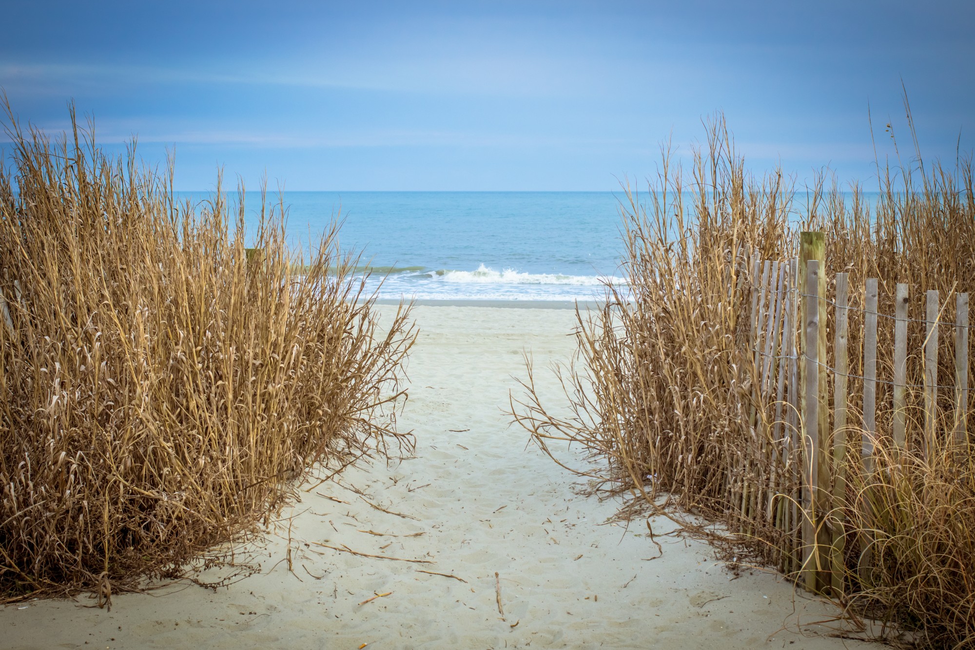 5 Reasons to Visit Myrtle Beach in August