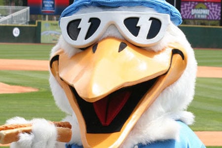 Myrtle Beach Pelicans