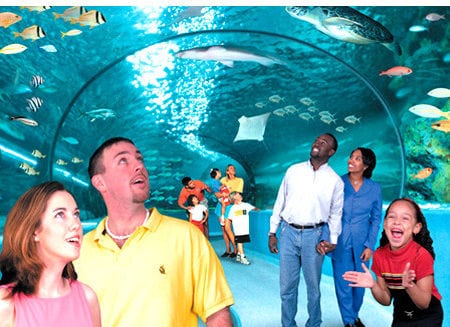 Ripley's Aquarium