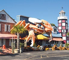 Giant Crab Seafood Buffet