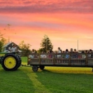 Kids Drive In Movie Night at Thompson Farm