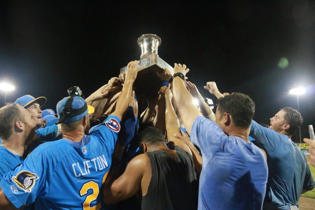 Myrtle Beach Pelicans - MyrtleBeachHotels.com