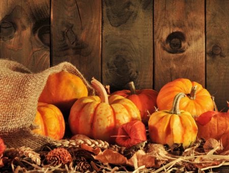 5 Reasons To Visit Myrtle Beach in October