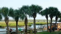 Restaurants on the Murrells Inlet MarshWalk