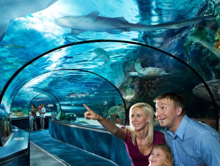 Where to See Live Animals in Myrtle Beach