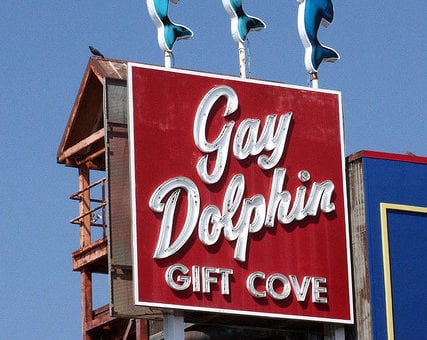 Gay Dolphin Gift Cove