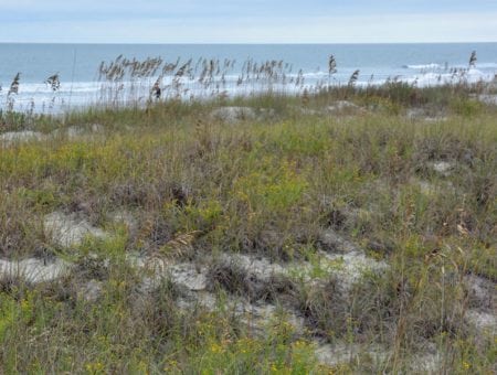 Myrtle Beach vs. Virginia Beach: Why Myrtle Beach Is Better