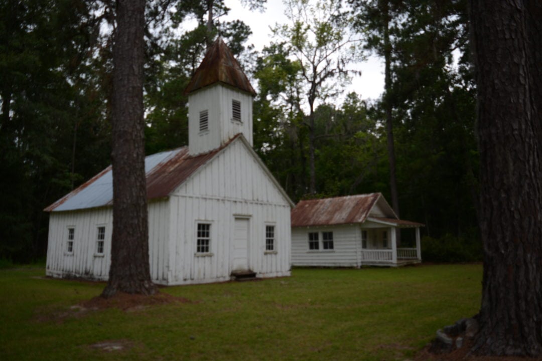 Hobcaw Barony h