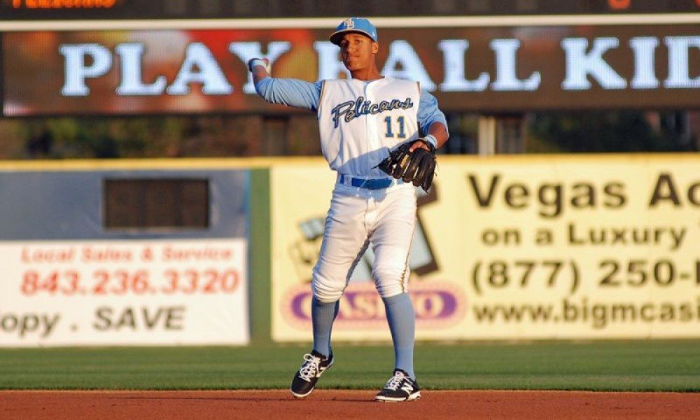 Myrtle Beach Pelicans h