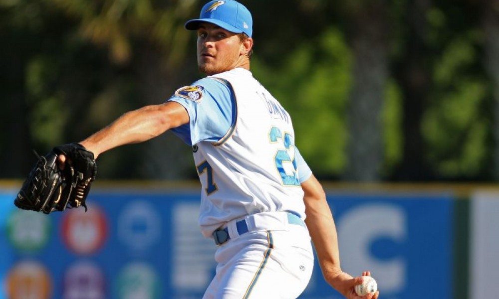 Myrtle Beach Pelicans wearing Carolina Panthers-inspired jerseys