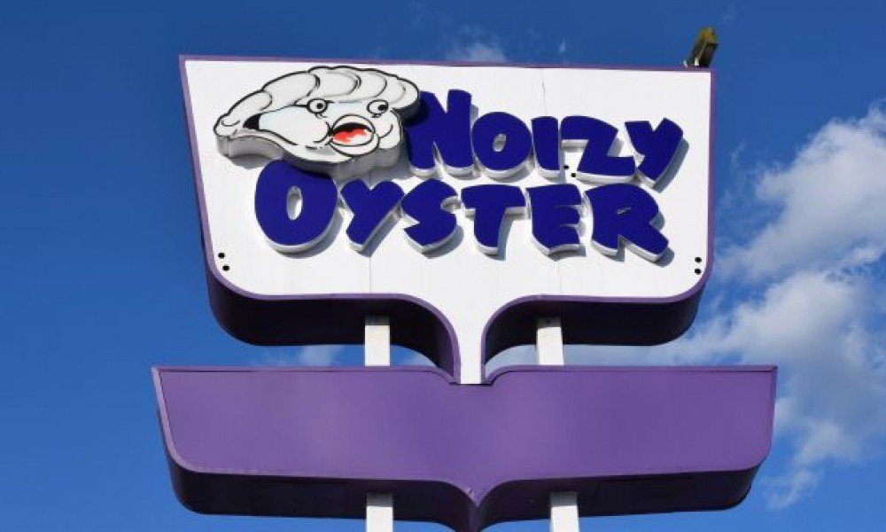 Noizy Oyster h