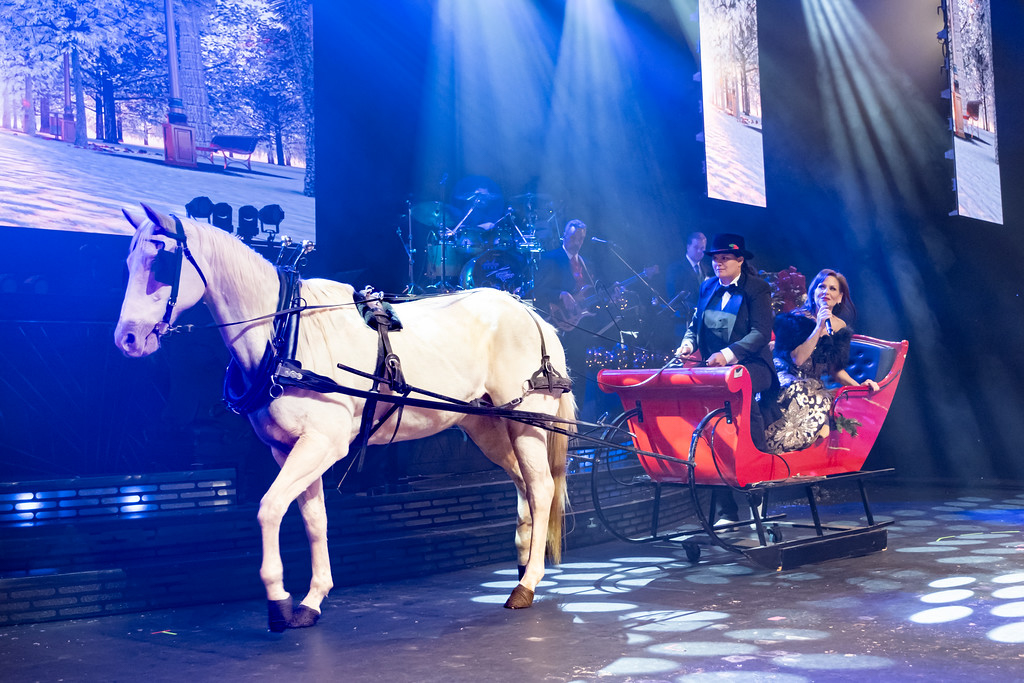 Carolina Opry Christmas Special “The Christmas Show of the South” h